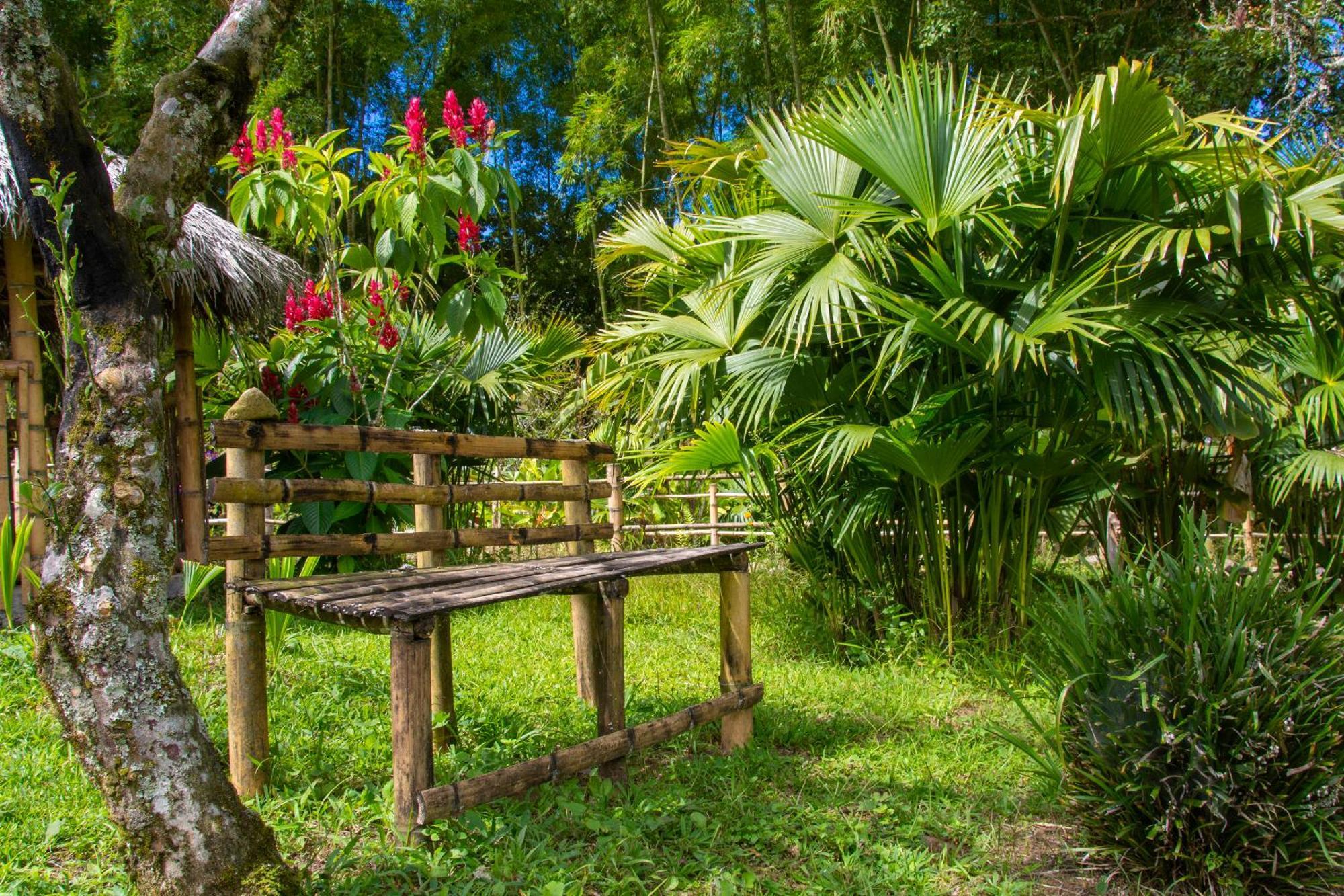 Secretos Del Eden Hotel Ruiosucio Luaran gambar